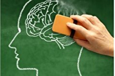هر ۵ دقیقه یک ایرانی به آلزایمر مبتلا می‌شود/سونامی آلزایمر در راه است