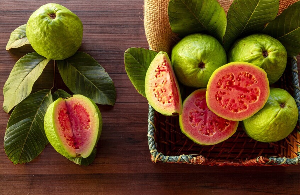 یک دستور شیمیایی از گواوا برای مبارزه با یکی از خطرناک‌ترین انواع سرطان