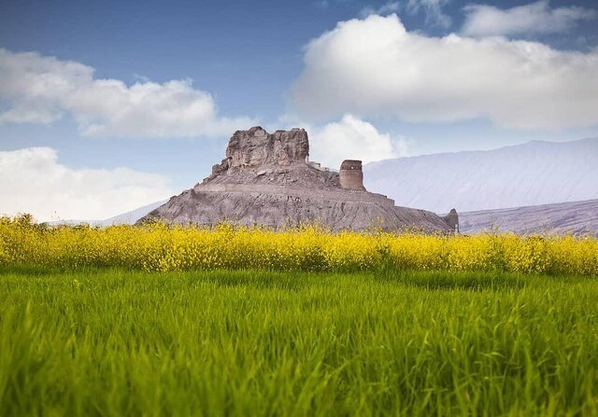 نگاه ما به فین، مثبت و آینده‌محور است
