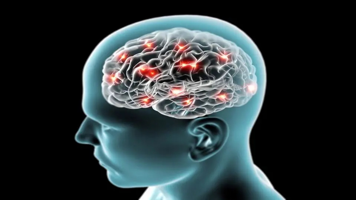 ابتلا به آلزایمر با اصلاح سبک زندگی پیشگیری میشود!