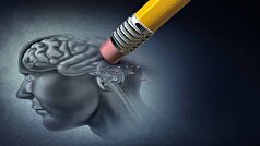 آلزایمر چه تاثیری بر زندگی فرد دارد؟