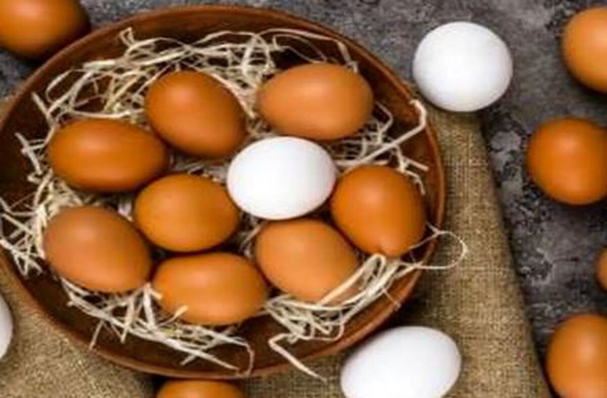 روش اصولی و صحیح شستن تخم مرغ