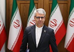 بقائی: توقف نسل‌کشی در غزه مهمترین آزمون کارآمدی برای سازمان ملل است