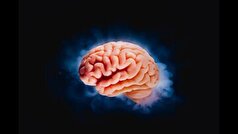 آیا می‌دانید کلسترول چه تاثیری روی سلامت مغز می‌گذارد؟