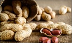 با این آجیل پر طرفدار پیری را به تاخیر بی اندازید