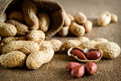 مصرف روزانه بادام‌زمینی چه بیماری‌هایی را از شما دور میکند؟