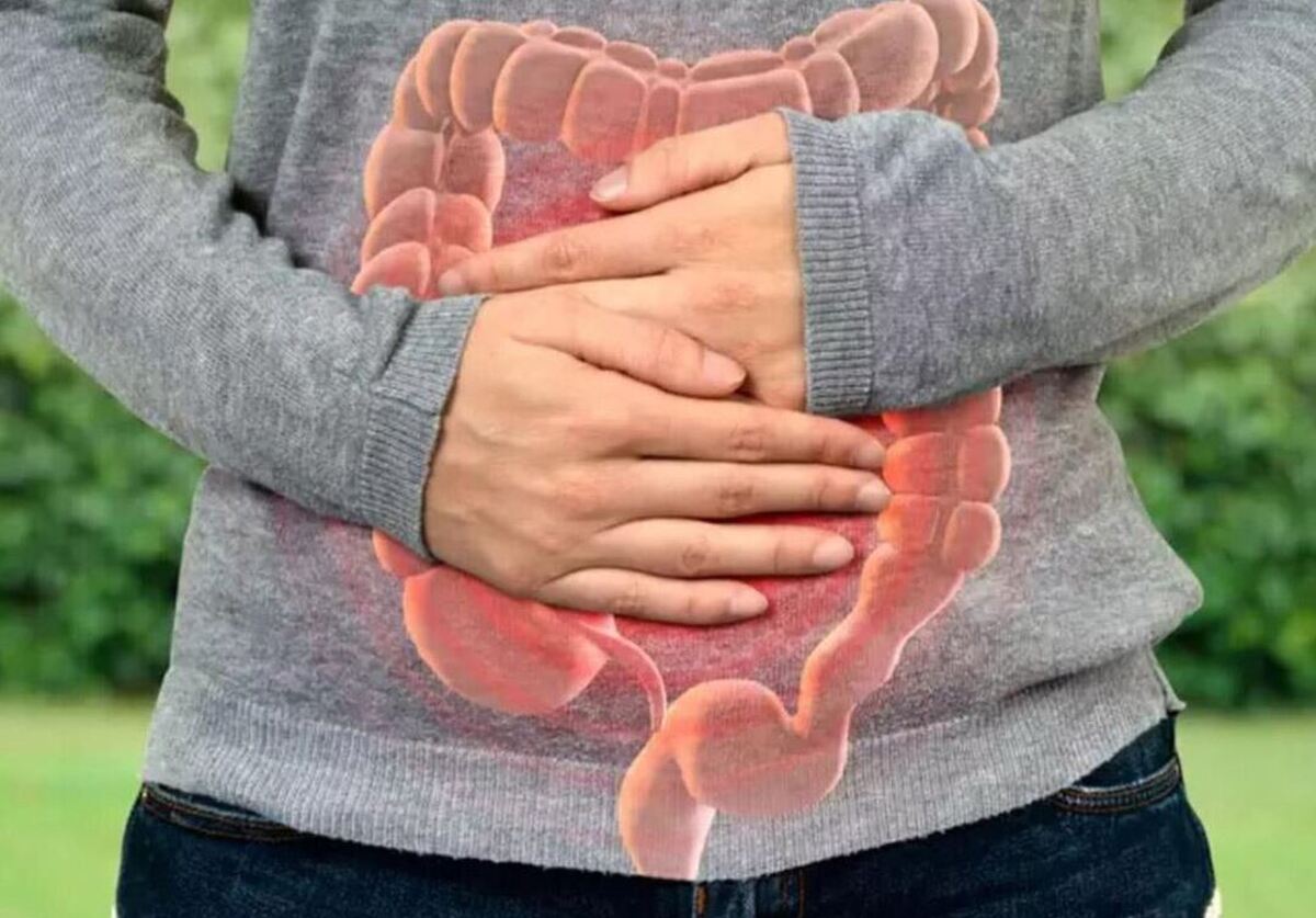 ۹ ماده غذایی موثر بر سلامت روده