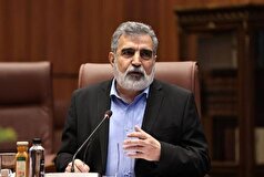 کمالوندی: قرار است بازرسان آژانس بر تعویض سوخت نیروگاه بوشهر نظارت داشته باشند
