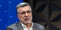 منابع دارویار باید از سازمان هدفمندی جدا شود