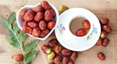 برای بهره بردن بیشتر از خواص عناب چگونه آن را مصرف کنیم؟