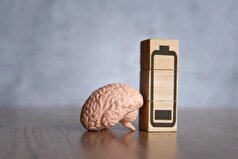 اختلال «EDS» چیست؟ چه تاثیری بر بیماری‌های مغزی دارد؟