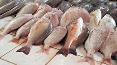 یک شاخص رنگ‌سنجی نوین میتواند تازه بودن ماهی را تشخیص دهد!