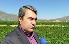 اجرای کنترل بیولوژیک در ۲۰۰۰ هکتار از مزارع کهگیلویه و بویراحمد