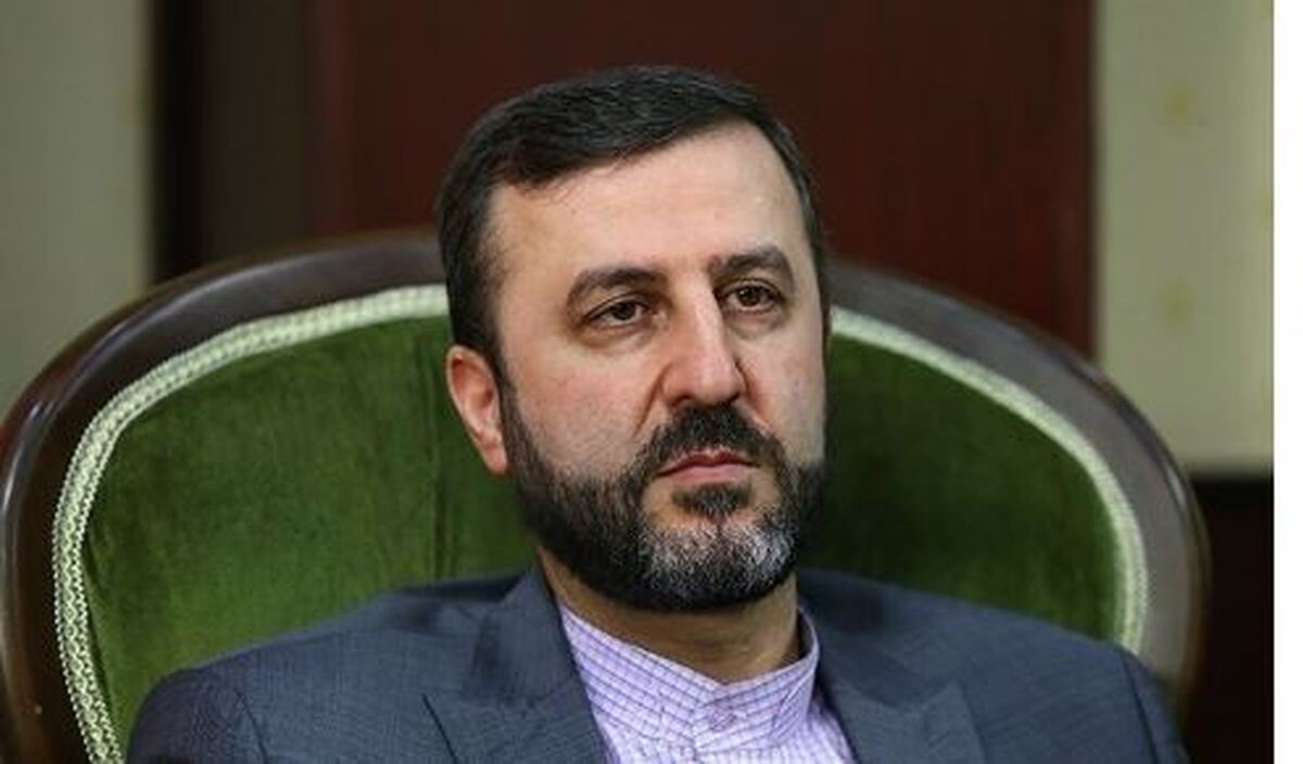 غریب آبادی: اگر اروپا روند اسنپ‌بک را آغاز کند تعامل با آژانس متوقف می‌شود