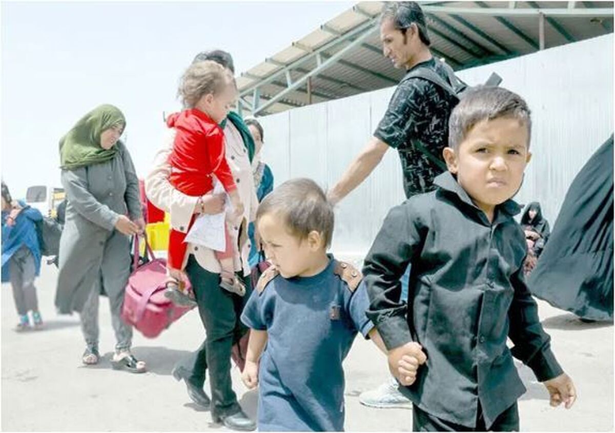 سرنوشت تاسف بار مهاجران افغانی قاقد بیمه
