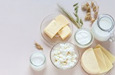 چگونه محصولات لبنی بر باکتری‌های روده و سلامت کلی شما تأثیر می‌گذارند