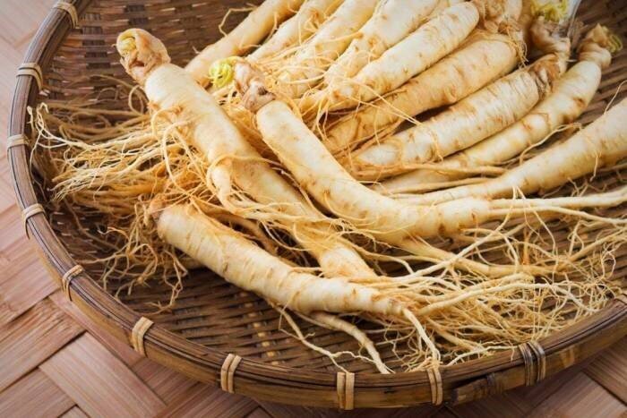 آشنایی با جینسینگ/از فواید علمی تا عوارض و تداخلات دارویی! آشنایی با جینسینگ/از فواید علمی تا عوارض و تداخلات دارویی!