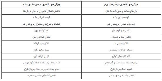 از کجا بفهمیم عروس هلندی مان نر است یا ماده؟ از کجا بفهمیم عروس هلندی مان نر است یا ماده؟