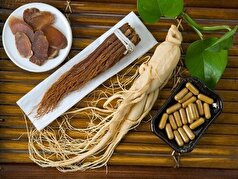 آشنایی با جینسینگ/از فواید علمی تا عوارض و تداخلات دارویی!