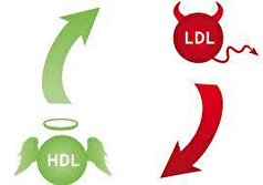 HDL بالا افراد را در معرض سکته‌های قلبی قرار میدهد!