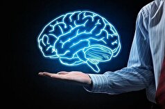 ویتامین‌های موثر در پیشگیری از آلزایمر