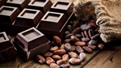 Nature Food: دانشمندان نوع جدیدی از شکلات را خلق کردند