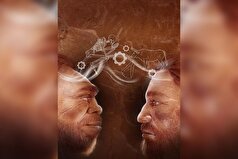 دانشمندان تکامل انتقال دانش را در طول ۳.۳ میلیون سال تاریخ بشر ردیابی کرده‌اند.