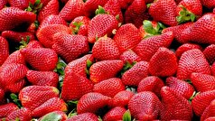 مطالعه‌ای فواید انواع توت‌ها برای سلامت قلب را نشان می‌دهد