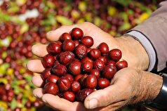 چرا عناب یک میان‌وعده سالم است؟