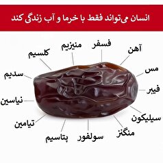 خرما؛ ضامن بقای انسان!