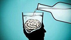 نوشابه‌های رژیمی مغزتان را هدف میگیرند!
