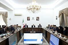 طرح اصلاح زنجیره عرضه آرد و نان در دستور کار دولت