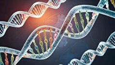 ارتباط DNA ویروسی باستانی در ژنوم انسان با اختلالات روانی