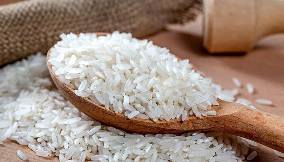 کاهش ۳۵ درصدی قیمت برنج ایرانی با افزایش برداشت