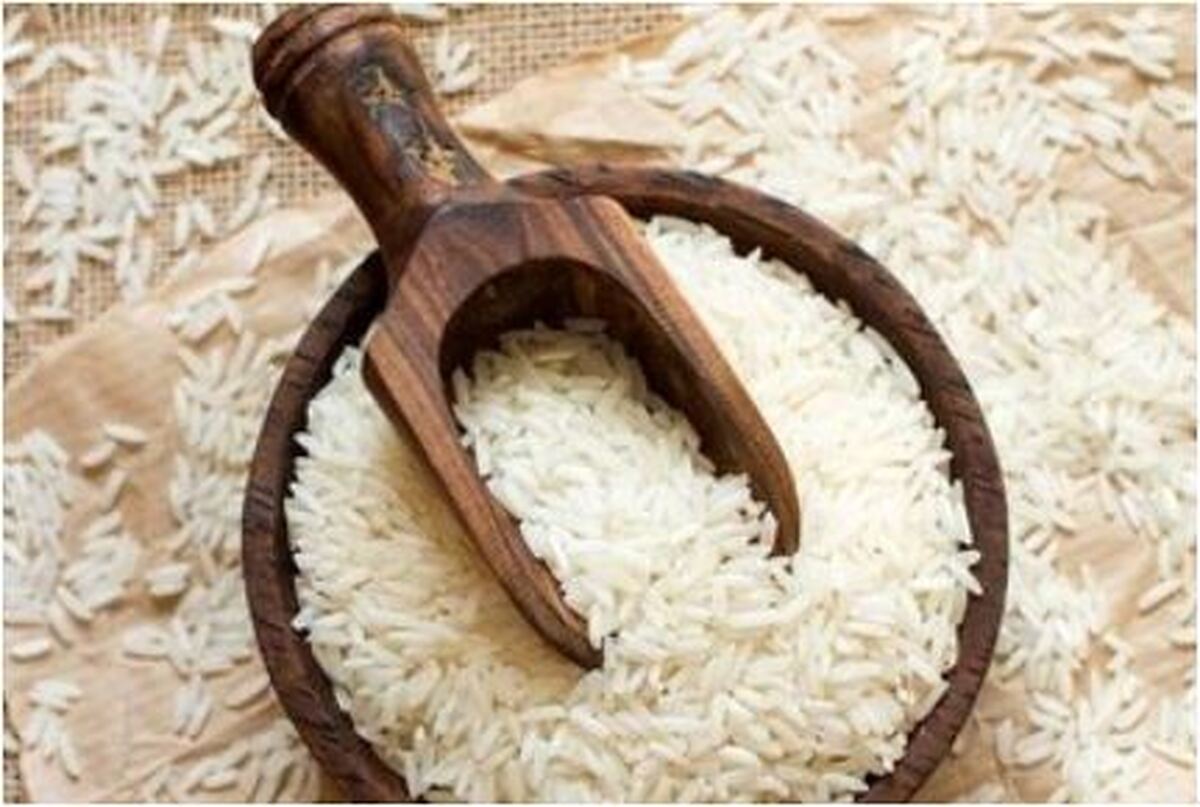 برداشت برنج ایرانی و کاهش قیمت آن در بازار