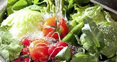 سبزیجات هرگز به معده آسیب نمیزنند!