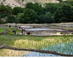 تخصیص ۶ هزار میلیارد تومان به طرح ملی آبخیز تا جالیز در سالجاری