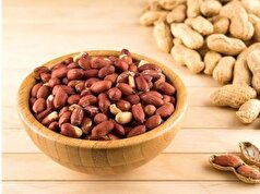 بادام‌زمینی و نقش آن در جوانسازی پوست