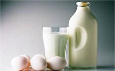 باور‌های نادرست ترکیب زرده تخم مرغ و شیر برای تقویت بدن در هنگام بیماری