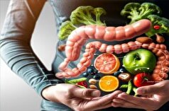 کاهش التهاب روده و حفظ سلامتی دستگاه گوارش با این میوه‌ها