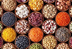 Nutrients: حبوبات عوامل خطر قلبی عروقی را در بزرگسالان مسن کاهش می‌دهند