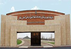 قرار گرفتن اعضای هیئت علمی دانشگاه علوم پزشکی زنجان بین دو درصد دانشمندان برتر دنیا