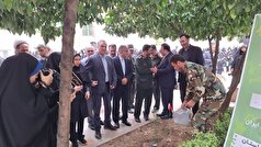 برگزاری پویش ملی «مهر سبز» در گرگان