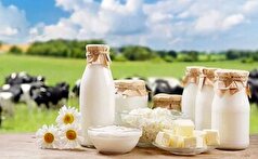 نوشیدن شیر باعث چاقی می‌شود یا لاغری؟