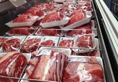 توقیف واردات گوشت آلوده در گمرک