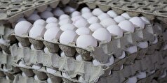 صادرات تخم مرغ تا پایان سال به بیش از ۱۲۵ هزارتن می‌رسد