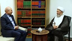 رئیس مجلس با آیت‌الله سبحانی دیدار کرد