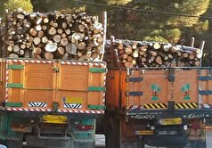 کشف ۱۵ تن چوب جنگلی قاچاق در دیواندره