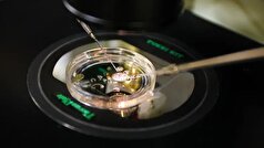 تولید جنین انسان با دستکاری DNA گرفته شده از سلول‌های پوست!