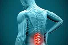 دیسک کمر از چه بخشی تشکیل شده است؟